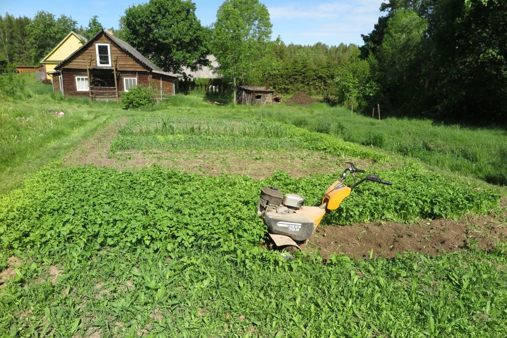 подготовка почвы для посадки картофеля